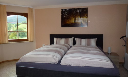 Ferienwohnung Schwarzwaldsteig (Bad Peterstal-Griesbach) Ferienwohnung Schwarzwaldsteig (Bad Peterstal-Griesbach)