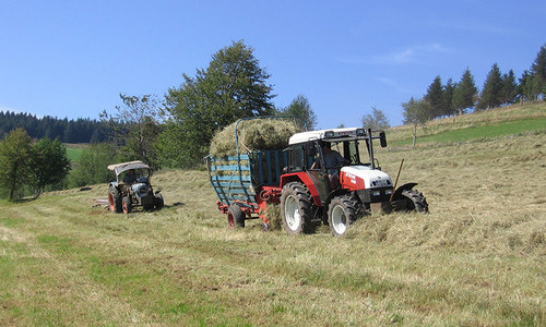 Harzlochhof Münstertal (Münstertal) Harzlochhof Münstertal (Münstertal)