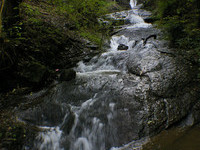 Mit freundlicher Genehmigung der Gemeinde Loffenau (Bildnachweis: Mit freundlicher Genehmigung der Gemeinde Loffenau) Mit freundlicher Genehmigung der Gemeinde Loffenau (Bildnachweis: Mit freundlicher Genehmigung der Gemeinde Loffenau)