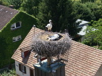 Schallstadt (Bildnachweis: Bürgermeisteramt Schallstadt) Schallstadt (Bildnachweis: Bürgermeisteramt Schallstadt)