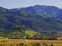  (Bildnachweis: Copyright: Ferienregion M�nstertal Staufen, Erich Spiegelhalter)