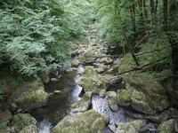 (Bildnachweis: Mit freundlicher Genehmigung der Stadt Albbruck) (Bildnachweis: Mit freundlicher Genehmigung der Stadt Albbruck)