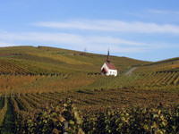 (Bildnachweis: MIt freundlicher Genehmigung der Gemeinde Sasbach, Frau Heike Scheiding-Brode) (Bildnachweis: MIt freundlicher Genehmigung der Gemeinde Sasbach, Frau Heike Scheiding-Brode)