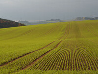  (Bildnachweis: Mit freundlicher Genehmigung der Gemeinde Eggingen, Foto Regio-Experten)