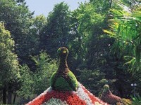  (Bildnachweis:  Mit freundlicher Genehmigung der Kur und B�der GmbH Bad Krozingen)