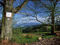 (Bildnachweis: Tourismus GmbH & Co.KG ZweiTälerLand ) (Bildnachweis: Tourismus GmbH & Co.KG ZweiTälerLand )