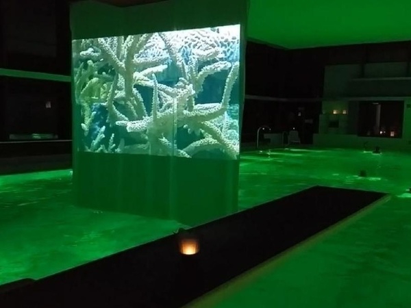 Bildnachweis: Mit freundlicher Genehmigung der Stadt Horb Bildnachweis: Mit freundlicher Genehmigung der Stadt Horb