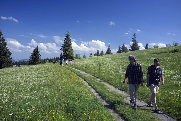 Bildnachweis: Mit freundlicher Genehmigung der Stadt Waldkirch / Jürgen Gocke Bildnachweis: Mit freundlicher Genehmigung der Stadt Waldkirch / Jürgen Gocke