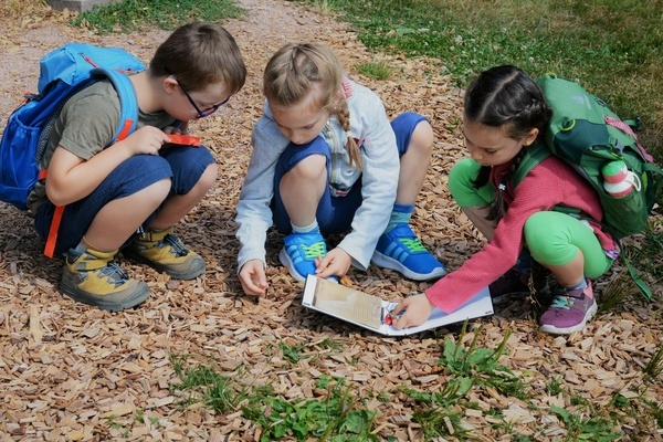 Annis Schwarzwald Geheimnis in Schnwald Bildnachweis:  Hochschwarzwald Tourismus GmbH