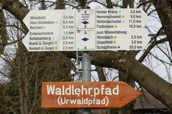 Urwaldpfad Urwaldpfad