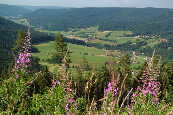 Blick ins Murgtal von der Königswart Bildnachweis: Mit freundlicher Genehmigung der Gemeinde Seewald Blick ins Murgtal von der Königswart Bildnachweis: Mit freundlicher Genehmigung der Gemeinde Seewald