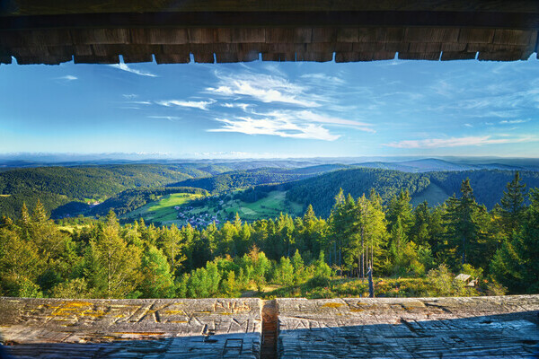 Ausblick vom Hochkopfturm Copyright: (Mit freundlicher Genehmigung der Gemeinde Todtmoos) Ausblick vom Hochkopfturm Copyright: (Mit freundlicher Genehmigung der Gemeinde Todtmoos)