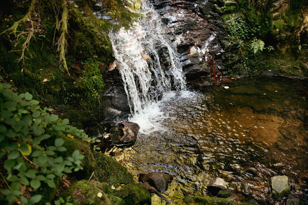 Becken des Wasserfalls in der Windbergschlucht bei St. Blasien Bildnachweis: © Hochschwarzwald Tourismus GmbH Becken des Wasserfalls in der Windbergschlucht bei St. Blasien Bildnachweis: © Hochschwarzwald Tourismus GmbH