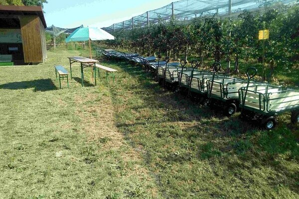 Obsthof Drechsle Bildnachweis: Obsthof Drechsle Obsthof Drechsle Bildnachweis: Obsthof Drechsle