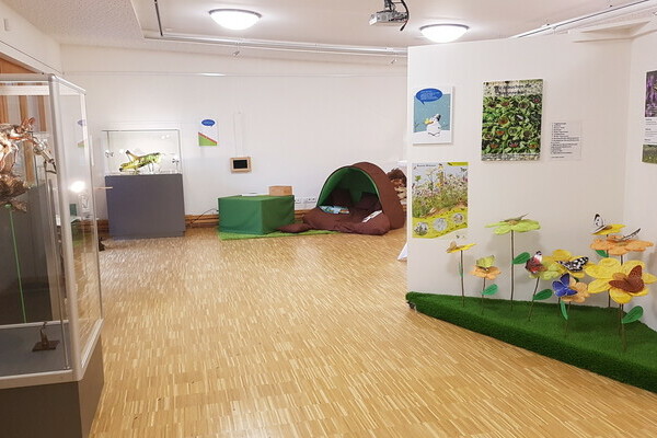 Sonderausstellung: Insekten Bildnachweis: © Natur-Infozentrum Kaltenbronn Sonderausstellung: Insekten Bildnachweis: © Natur-Infozentrum Kaltenbronn