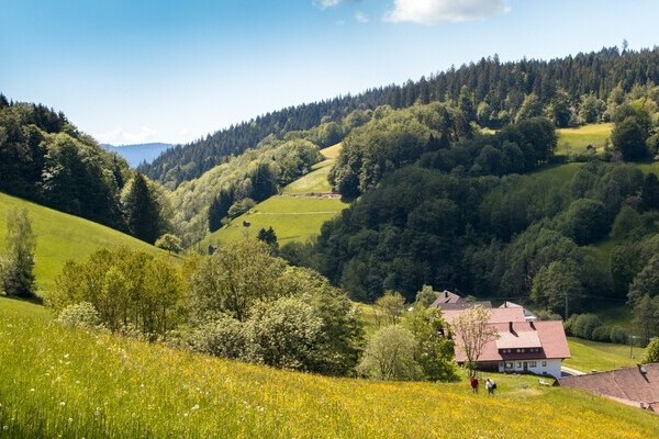 Wiesensteig Bad Peterstal-Griebach Bildnachweis: © Bad Peterstal-Griesbach Wiesensteig Bad Peterstal-Griebach Bildnachweis: © Bad Peterstal-Griesbach