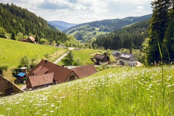 Wiesensteig Bad Peterstal-Griebach Bildnachweis: © Bad Peterstal-Griesbach Wiesensteig Bad Peterstal-Griebach Bildnachweis: © Bad Peterstal-Griesbach