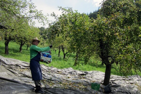 Brennerei Baron Droste Hülshoff Bildnachweis: Mit freundlicher Genehmigung von Herrn Benedikt von Droste zu Hülshoff Brennerei Baron Droste Hülshoff Bildnachweis: Mit freundlicher Genehmigung von Herrn Benedikt von Droste zu Hülshoff
